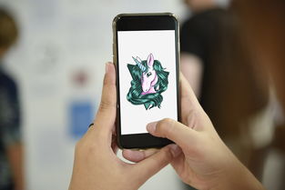 生活科技图鉴：实用图片集锦