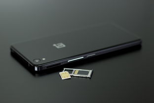 100 Words on Technology and Daily Life