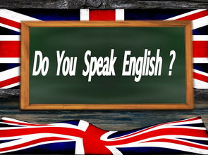 English Translation: The Tech Lifestyle