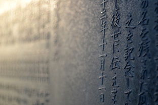 600字作文：科技新生活写作技巧