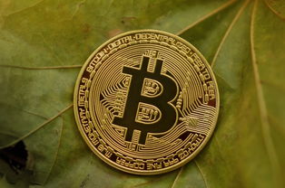 物联网龙头股，投资未来科技的黄金钥匙