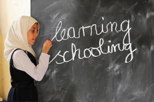 天津摄影师培训，捕捉光影，记录生活之美