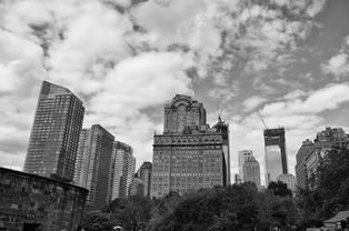 浦东建设股票，投资机遇与风险分析