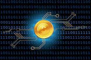 轻松掌握CCProxy设置，网络共享的实用指南