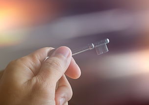 芯能科技，解锁未来世界的钥匙