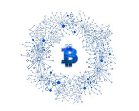 打造个性化数字世界，自建App的指南与启示