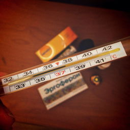 药明康德中签号，投资者的幸运密码