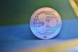 泰信先行基金，投资未来的智慧选择