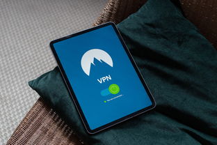 探索Jackd官网，连接、安全与隐私的全方位指南