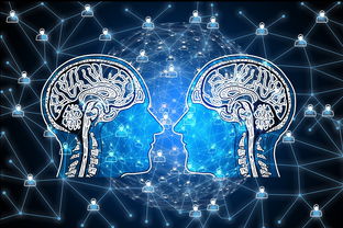 网络图绘制，可视化数据关系的艺术与科学