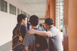 谢百三博客，深入理解与学习的投资指南