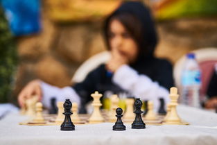 探索象棋演播室，艺术与智慧的交汇点