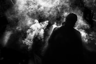 探索玛雅文明的神秘面纱，深入玛雅中文论坛
