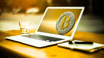 深入解析，证券交易所官网的隐藏价值与投资指南