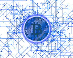 探索光影世界，摄影专业大学排名榜单全解析