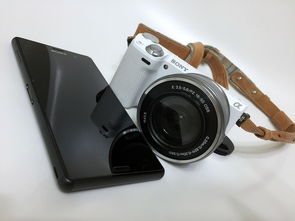 了解Sony相机回收价值，评估、定价与交易指南