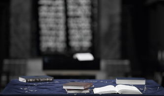 竺韵德，一位杰出科学家的创新精神与生活哲学