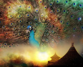 探索摄影艺术，学摄影是否拥有光明的未来？