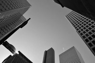 深入解析万科财务状况，透视企业健康与未来潜力