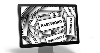 支付宝登陆界面，用户体验与安全防护的双重奏