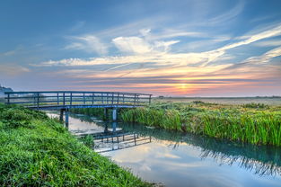 洞庭湖，我国第二大淡水湖的生态与文化价值