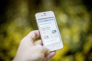 全面解析BIT杀菌剂,特性、应用与未来发展 全面解析BIT杀菌剂,特性、应用与未来发展