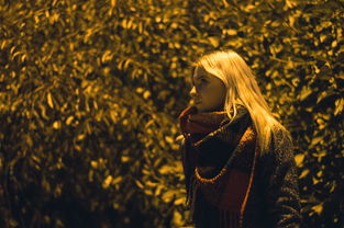 尤里与娜诺，一段跨越时间、空间与情感的奇妙羁绊