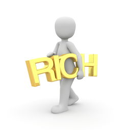 谁是2012年的财富王者?揭秘胡润百富榜背后的精彩故事 谁是2012年的财富王者?揭秘胡润百富榜背后的精彩故事