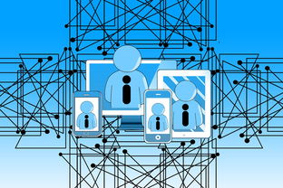 九水偏硅酸钠，从工业应用到日常生活的多功能化学物质