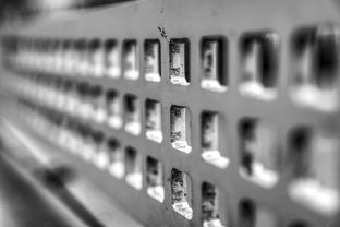 科学解读，阴茎长度的正常范围与健康认知