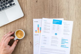 科技小白也能懂！手把手教你如何打开和处理BIN文件