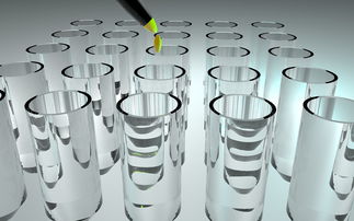 九水偏硅酸钠，一种多功能化工材料的全面解读