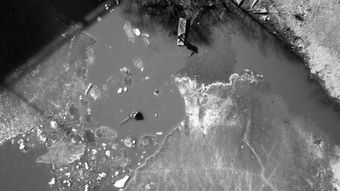 燕子717，科技与人文交织的诗意之旅