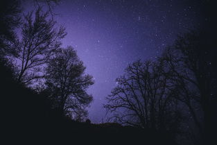 揭开生命的奥秘,从分子到宇宙的探索之旅 揭开生命的奥秘,从分子到宇宙的探索之旅