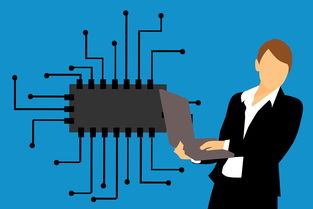 中华5000年科技文明的传承与未来创新之路