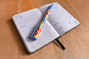 Wireshark下载与使用全攻略,网络抓包工具的入门指南 Wireshark下载与使用全攻略,网络抓包工具的入门指南