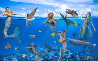 美国游泳名将的辉煌与科技助力—揭秘冠军背后的秘密