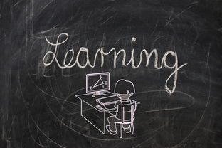 火山高校1—点燃未来教育的知识熔炉 火山高校1—点燃未来教育的知识熔炉