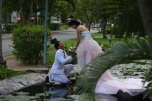 张靓颖求婚事件背后的情感与思考