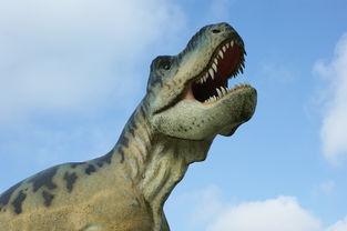 震惊科学界！美国发现了一只活恐龙，真相究竟如何？