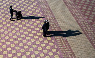 从衣服到地毯，涤纶丝价格为何牵动我们的生活？