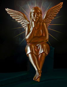 智利火玫瑰有毒吗？揭开这种神秘蜘蛛的毒与美