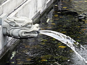 探秘黄蜡石之美—从图片到收藏的艺术之旅