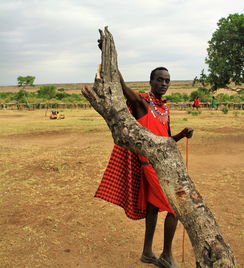 中国鬼片排行榜—惊悚与文化的完美碰撞，你敢看几部？