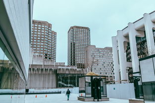 郑州建筑被评最丑？城市美学与建筑设计的反思之路