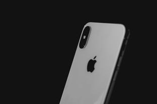 你的iPhone又变聪明了！全新iOS更新上线，快来看看有哪些惊喜吧！