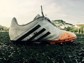 快速启动显示桌面，提升工作效率的简单技巧