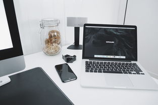 解锁高效工作新姿势，苹果工具栏的全面解析与实用技巧