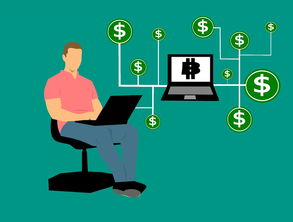 揭秘塑化剂的作用及其在现代生活中的应用与影响