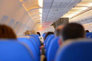 揭秘美国航空空姐爆料背后的故事，服务、压力与行业真相